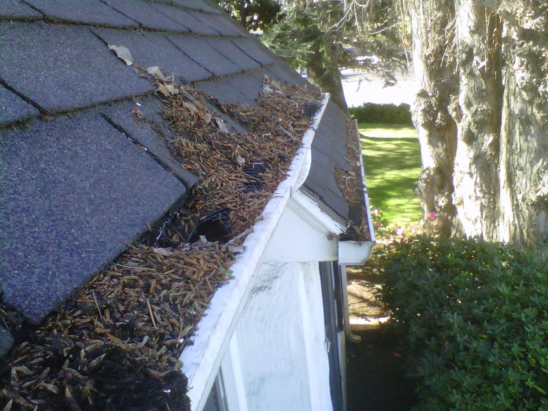 Rain Gutter Repair and Gutter Installation in Home, PA