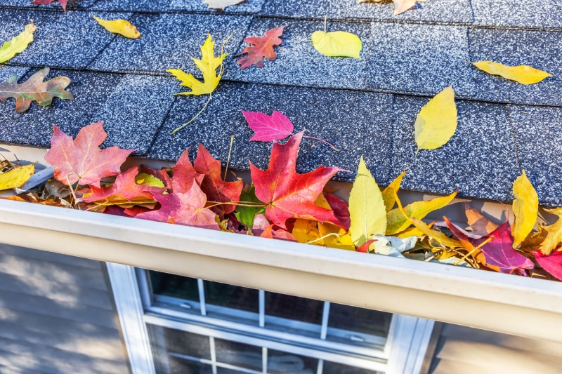 Rain Gutter Repair and Gutter Installation in Coupon, PA