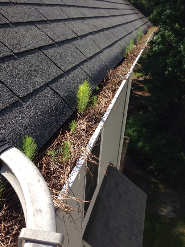 Rain Gutter Repair and Gutter Installation in Indiana, PA