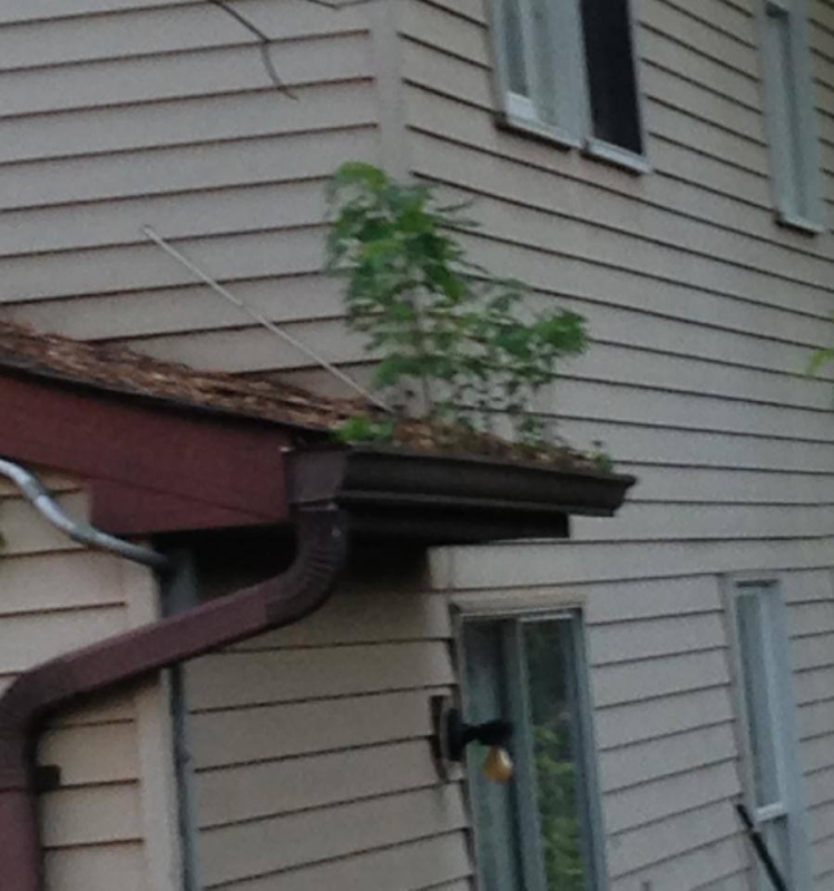 Rain Gutter Repair and Gutter Installation in Crystal Spring, PA