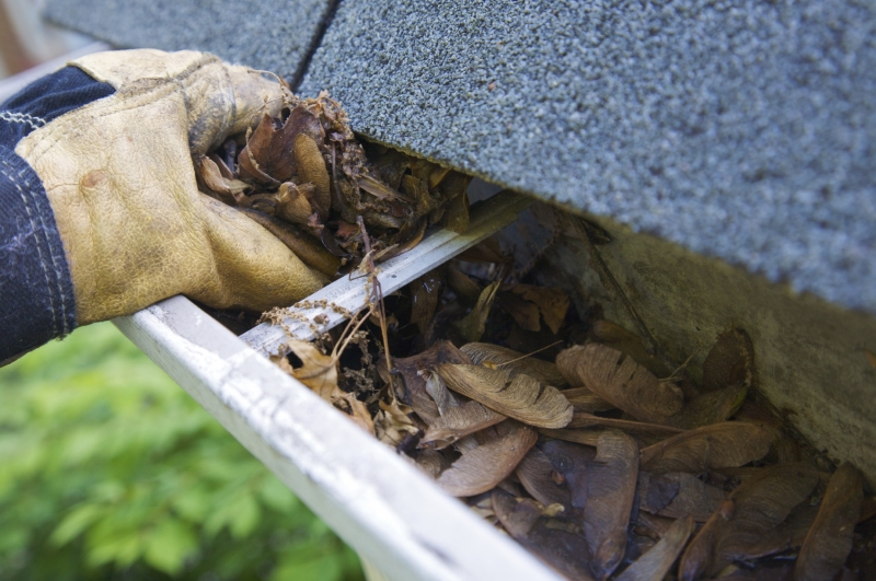 Rain Gutter Repair and Gutter Installation in Analomink, PA