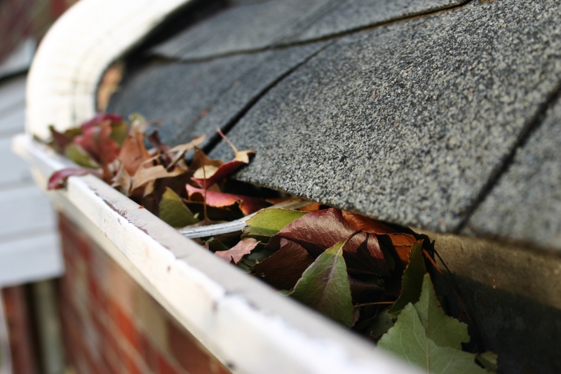 Rain Gutter Repair and Gutter Installation in Chadds Ford, PA