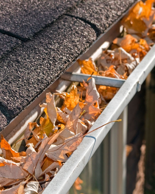 Rain Gutter Repair and Installation